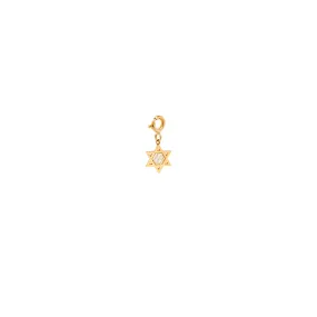 14k midi bitty pave Star of David charm with spring ring