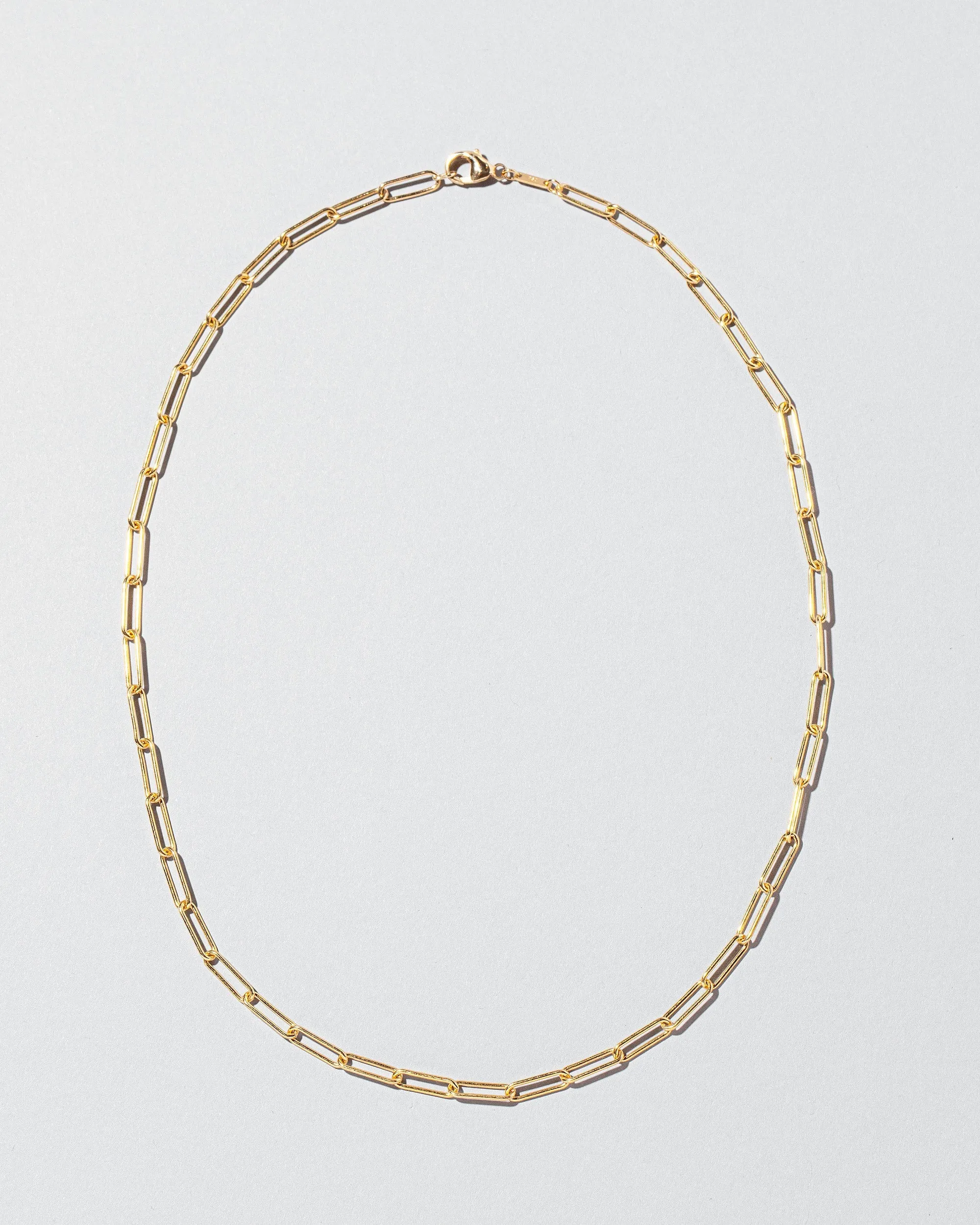 Long Oval Chain Necklace