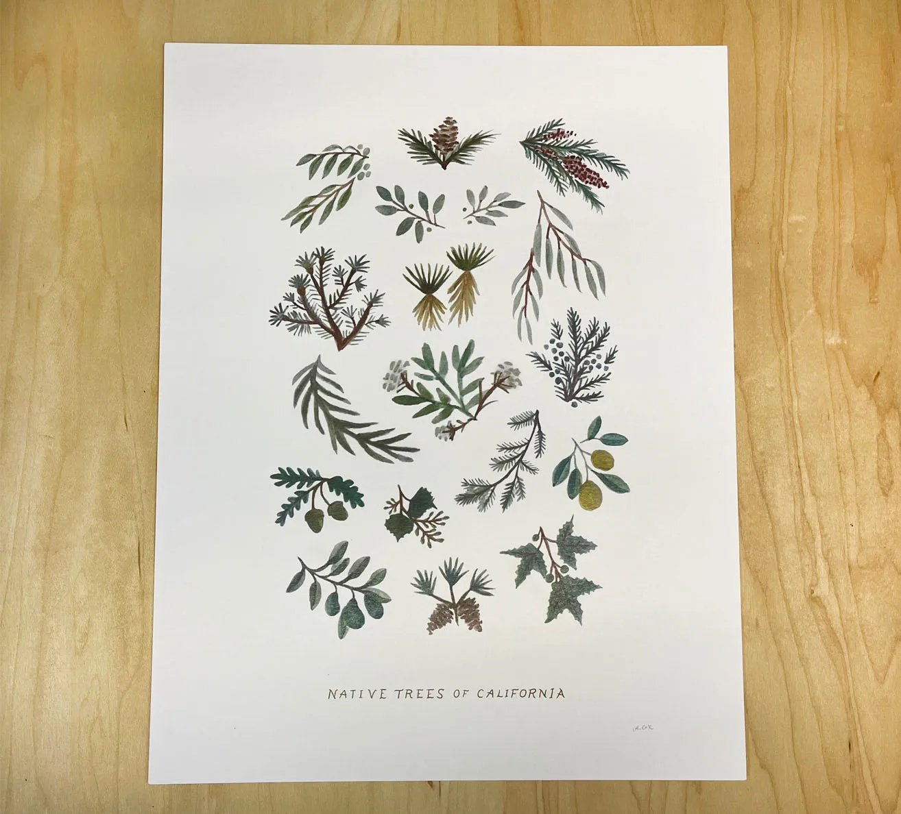 Native Trees print