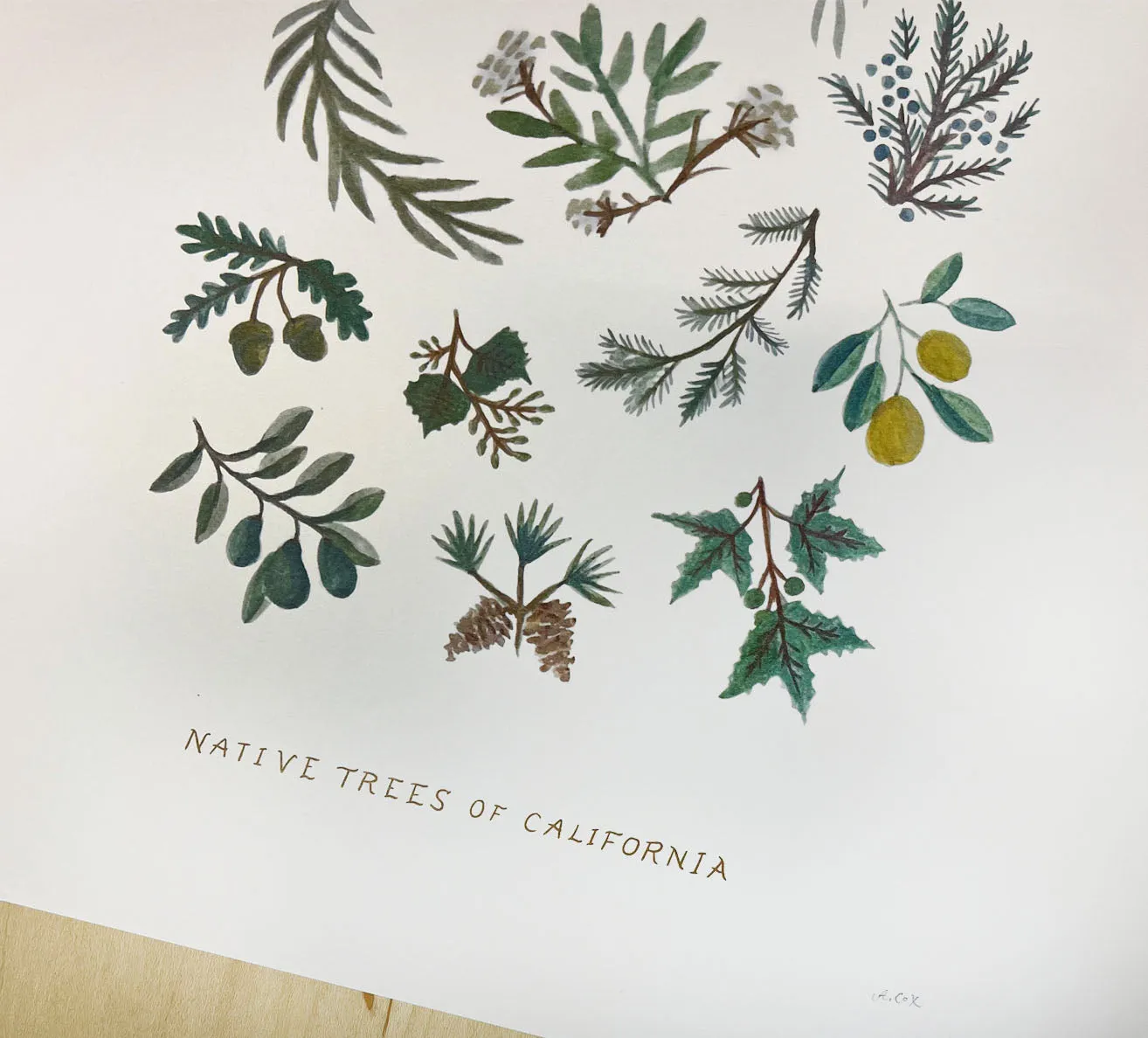 Native Trees print