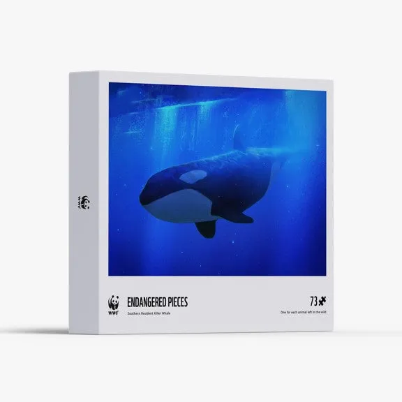 Southern resident killer whale puzzle